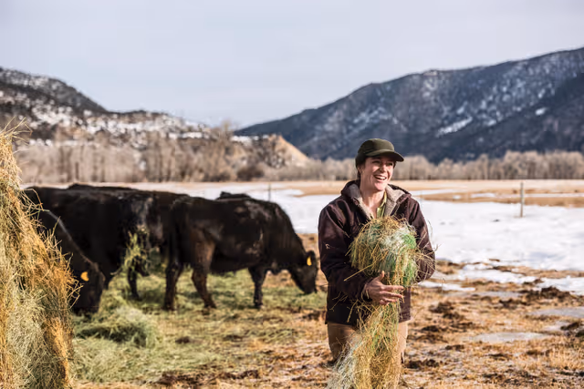 Financing and Leasing Options