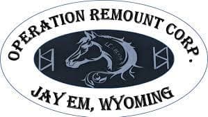 Operation Remount | 21st Century Equipment