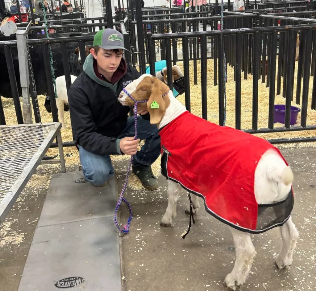 21st's Partner Shines at Stock Show