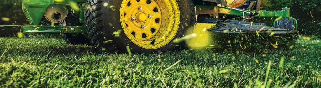 How to care for your lawn this season