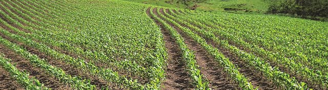 Superseed your expectations with Hopper Throttle