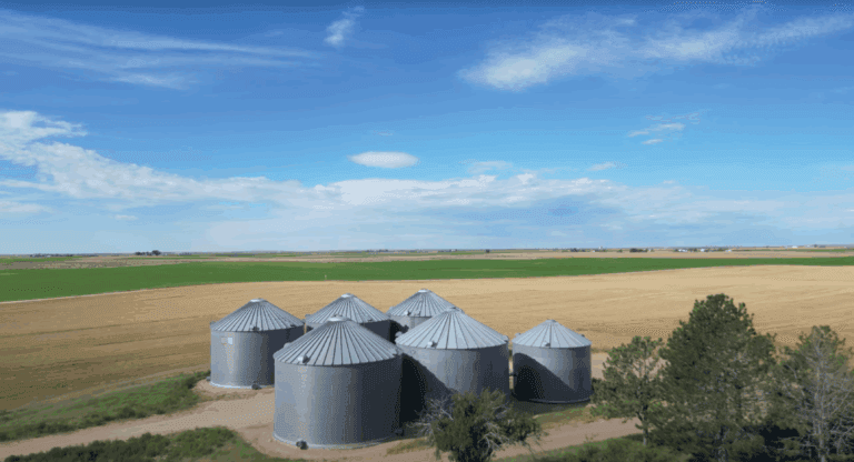 Roth Farms - Process Card