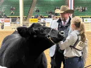 21st Century Partners Exhibit Livestock at National Western Stock Show
